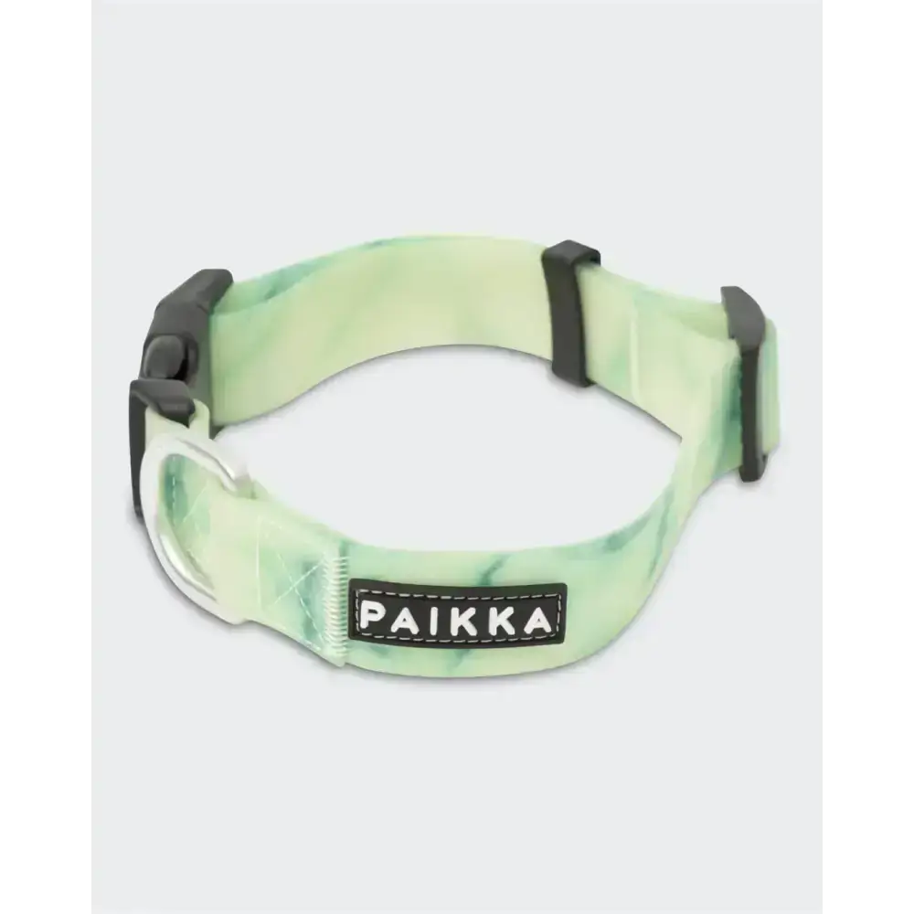 PAIKKA Hundehalsband Glow Collar – leuchtendes Halsband für Sicherheit bei Dunkelheit
