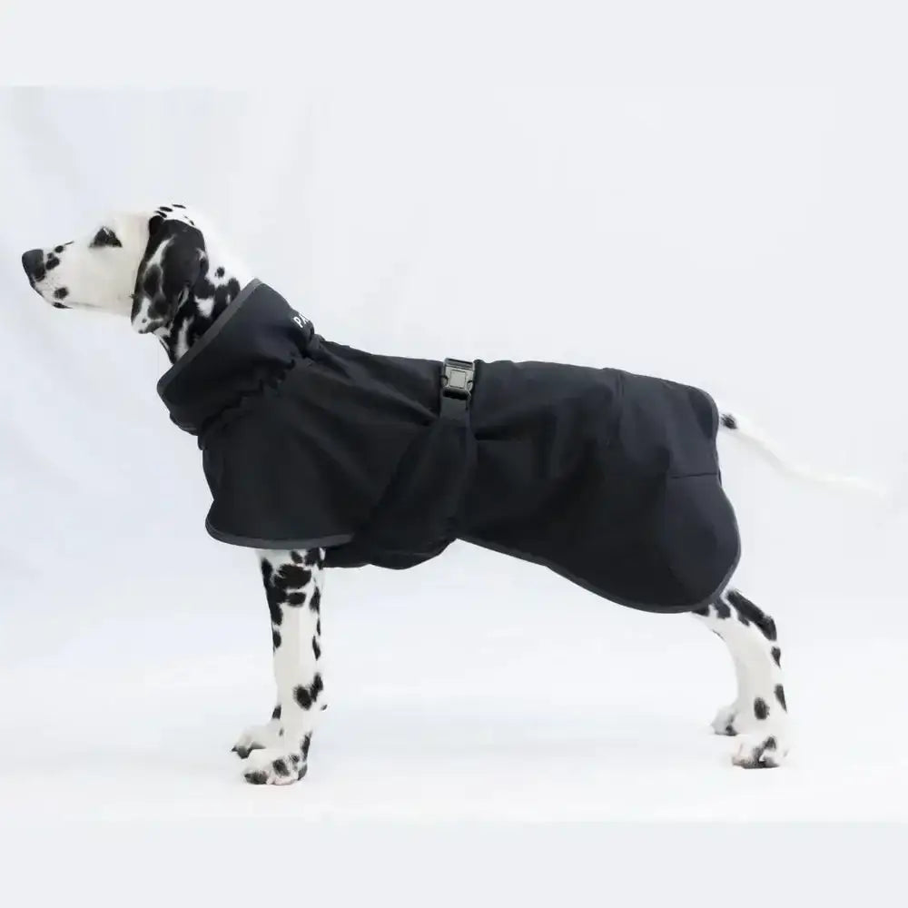 PAIKKA Recovery Softshelljacke für Hunde – schützt vor Wind, Regen & Kälte.