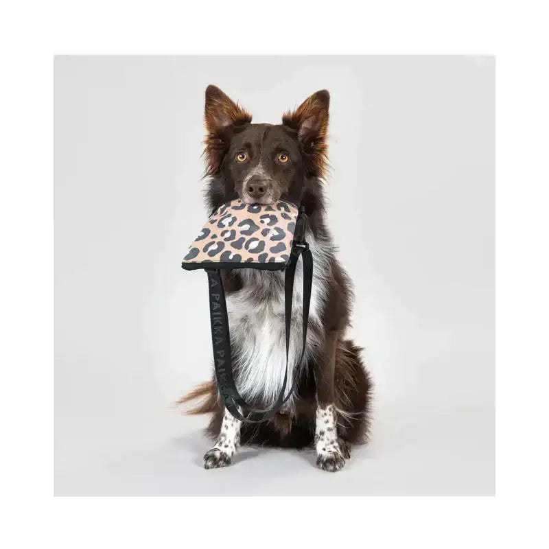 Gassitasche Visibility Treat Pouch Leo - PAIKKA reflektierende Leckerlitasche mit „Glow in the Dark“-Effekt für optimale Sicherheit.