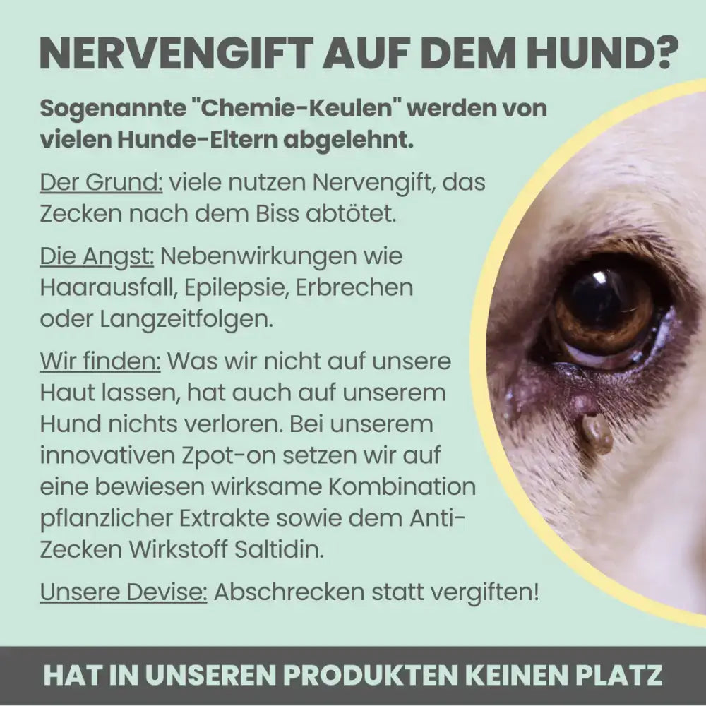 Parasitenschutz für Hunde mit Geraniumöl und Eukalyptusöl – natürlicher Schutz vor Zecken, Mücken und Flöhen.