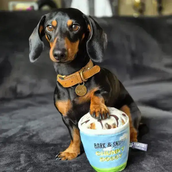 Eisbecher Hundespielzeug mit integriertem Quietscher - bietet zusätzlichen Spielspaß und Unterhaltung für Hunde, perfekt für eine aktive Spielzeit von Pawstory.