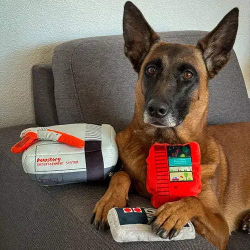PawStory Entertainment System - biedt knuffelig comfort voor ontspannen knuffeluurtjes na het spelen met je hond