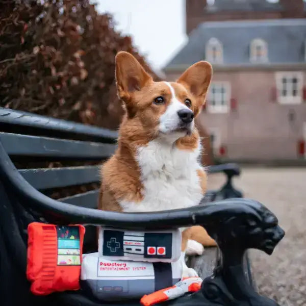 PawStory Entertainment System - hergestellt aus langlebigem Material, ideal für ausgiebige Spiel- und Kuschelzeiten mit deinem Hund