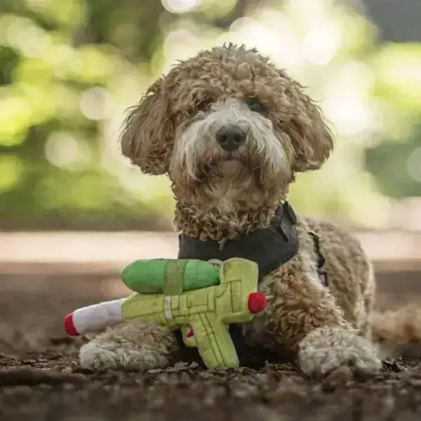 Pup Soaker Hundespielzeug mit integriertem Quietscher für zusätzlichen Spielspaß - bringt Freude und Action in die Wasserschlachten mit deinem Hund von Pawstory.