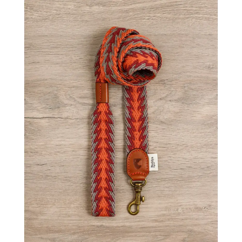 PERUVIAN ARROW ORANGE Hundehalsband mit passender Leine – das perfekte Set für stilbewusste Hundehalter.