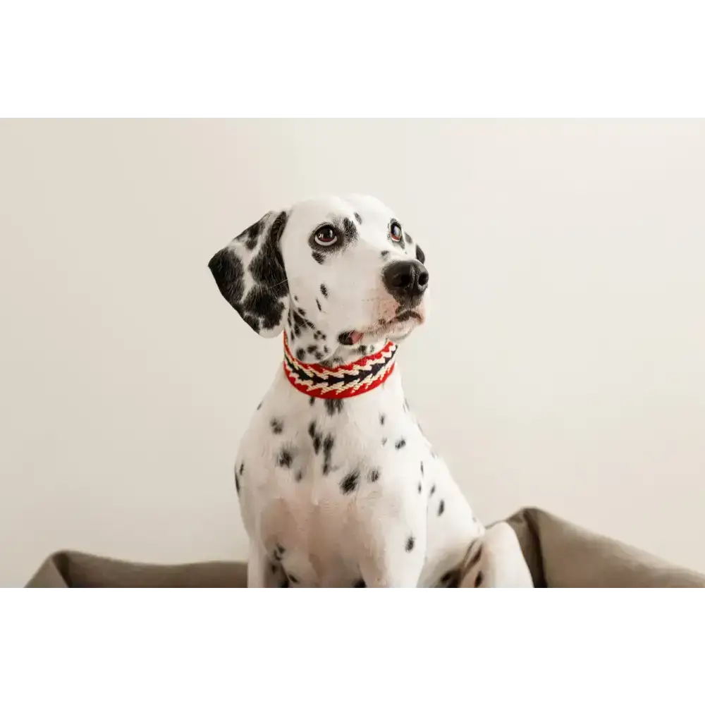 Stylisches Hundehalsband im Bohemian-Design – PERUVIAN ARROW RED mit Messingbeschlägen