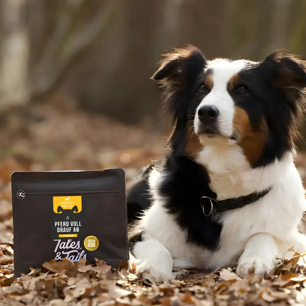 Tales & Tails Pferdeleckerlis – Hochwertiger Snack für Training & unterwegs
