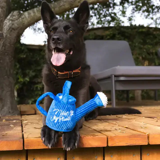 Hund genießt den interaktiven Spielspaß mit der P.L.A.Y Gießkanne – perfekte Kombination aus Kuschelfreund und Aktivspielzeug.