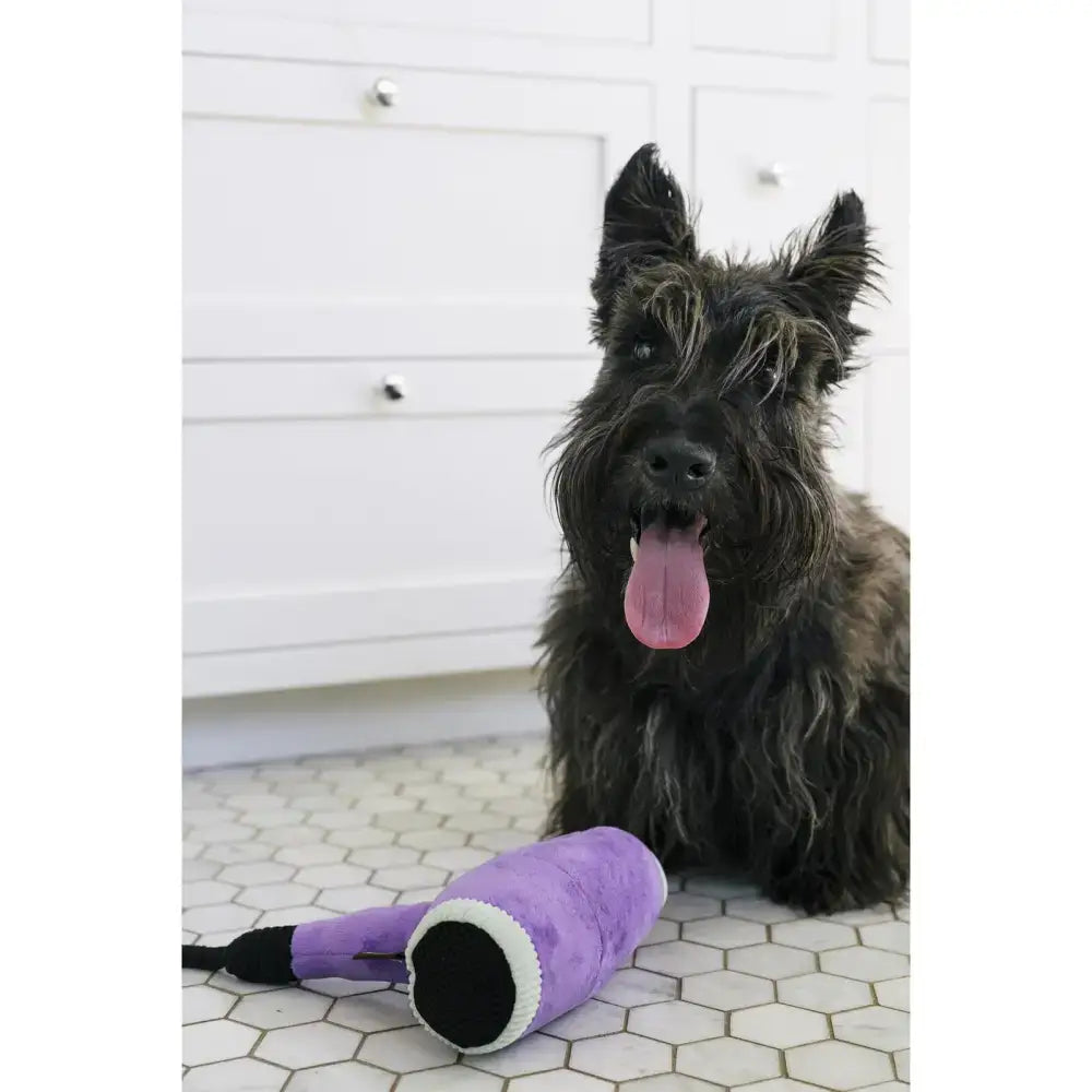 Hund genießt den interaktiven Spaß mit dem Howlin' Haarfön von P.L.A.Y – knistert, quietscht und sorgt für Abwechslung.