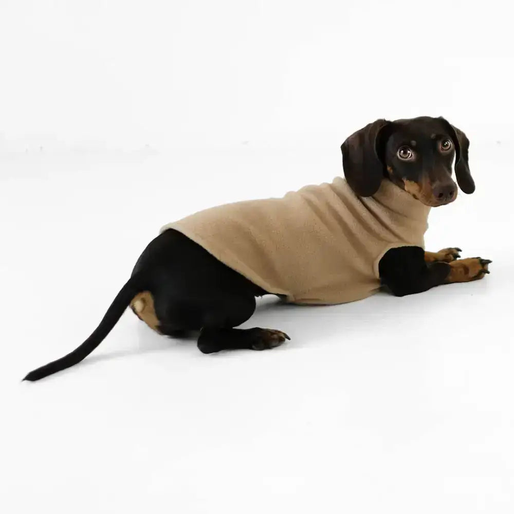 Dackel Hundepullover in Camel aus atmungsaktivem Polar Fleece – perfekter Schutz vor Kälte & Wind, designed in Berlin.