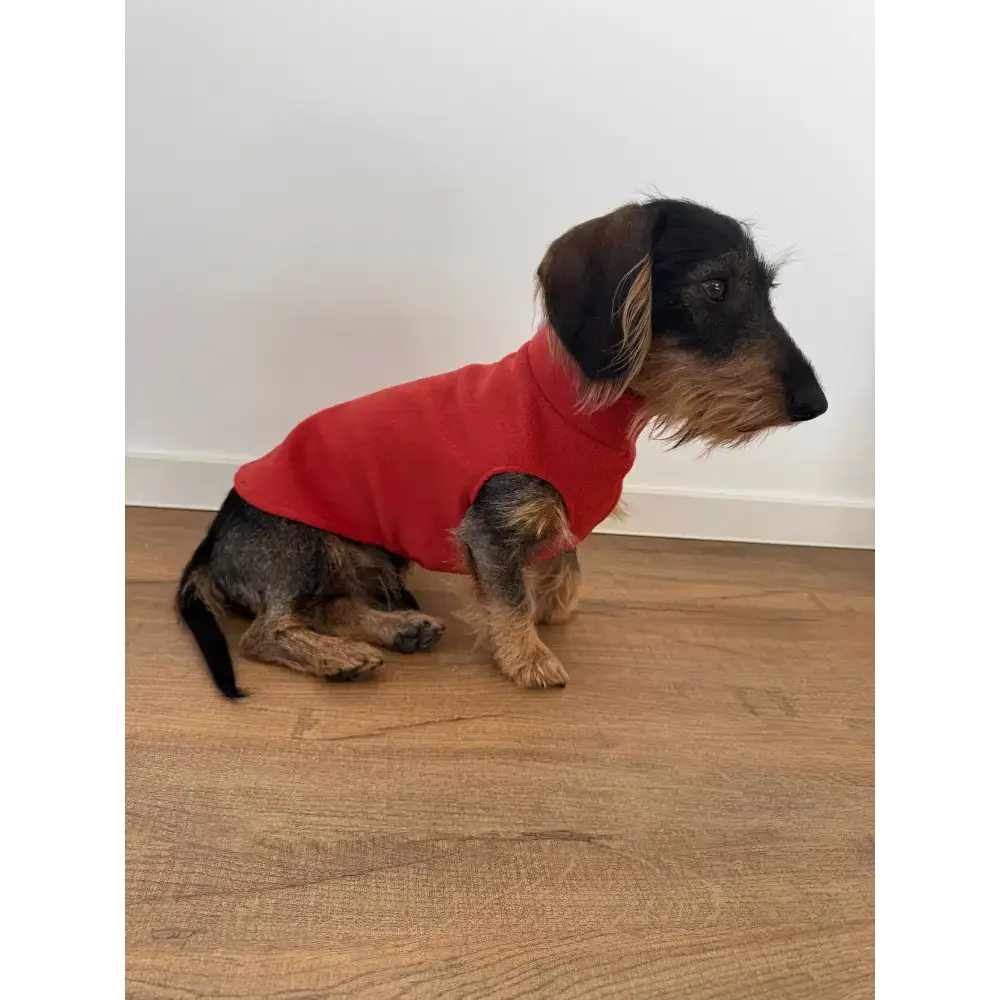 Dackel Hundepullover in Terracotta aus atmungsaktivem Polar Fleece – perfekter Schutz vor Kälte & Wind, designed in Berlin.