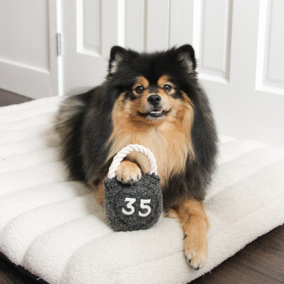 Hund trägt die KETTLEBELL am Seilgriff