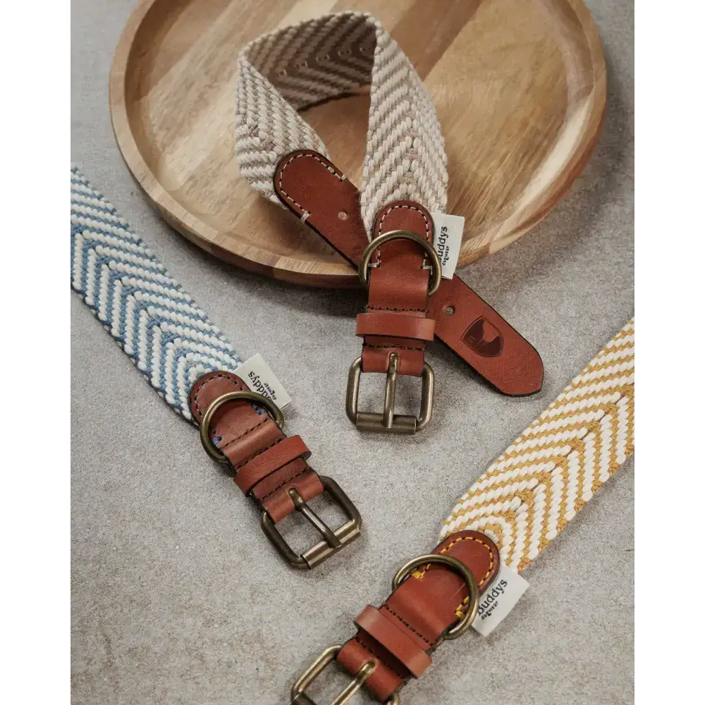 PORTIXOL SAND Hundehalsband – edles Design, handgefertigte Qualität und perfektes Accessoire für den Sommer.