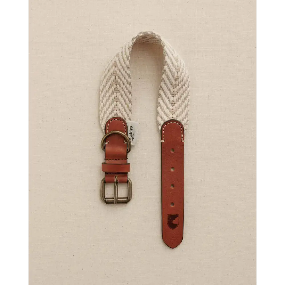 PORTIXOL SAND Hundehalsband von Buddys Dogwear – exklusives Sommer-Design, handgefertigt aus italienischem Canvas und weichem Leder.