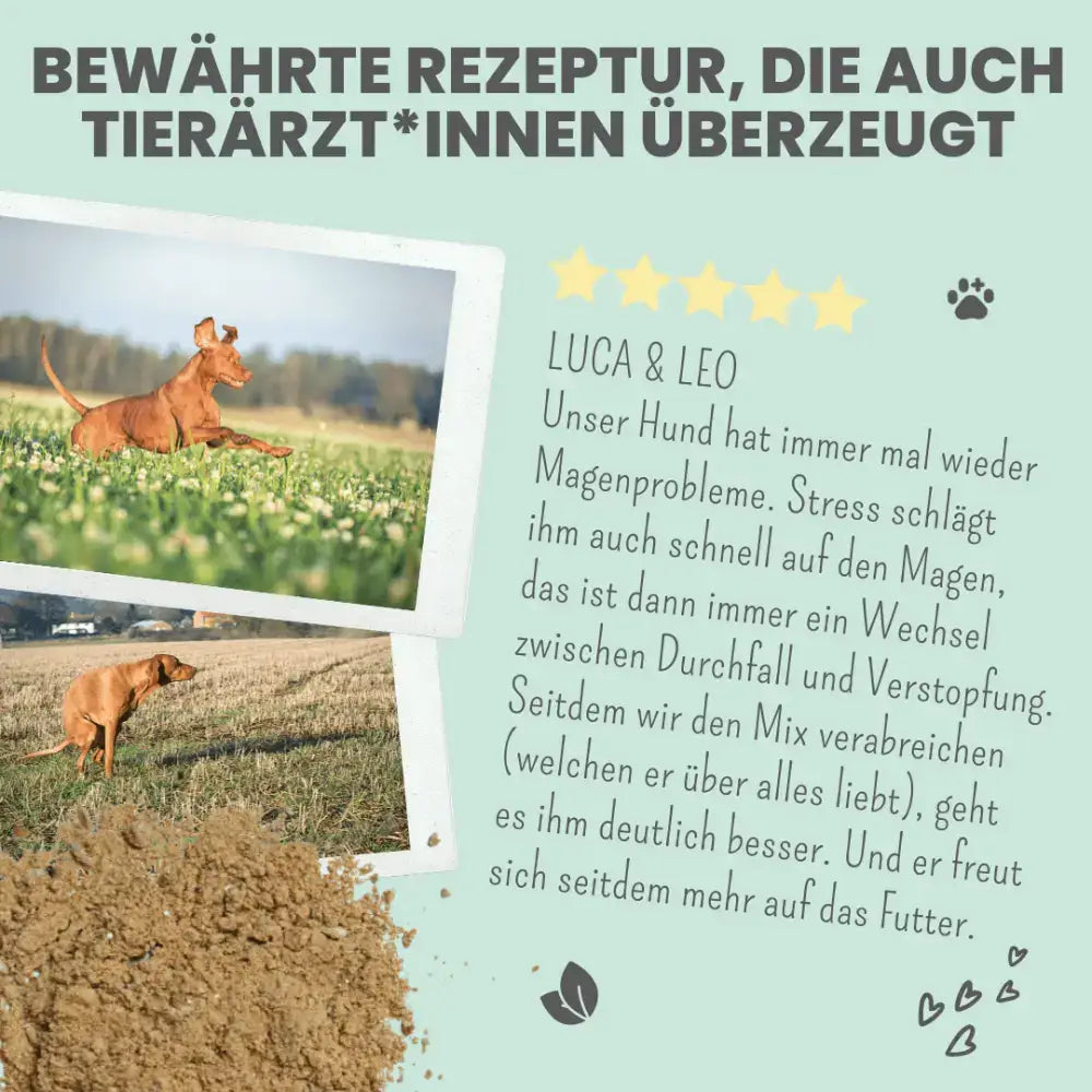 Futterzusatz für Hunde & Katzen mit sensibler Verdauung – Fördert eine gesunde Darmflora.