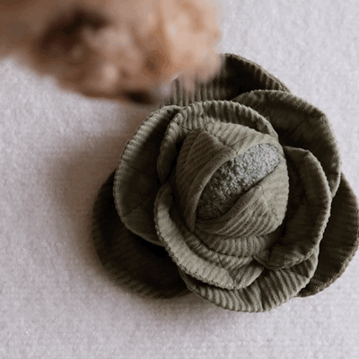 Weiches Hundespielzeug aus Teddyplüsch – Schonend für Maul & Zähne, perfekt zum Kuscheln.