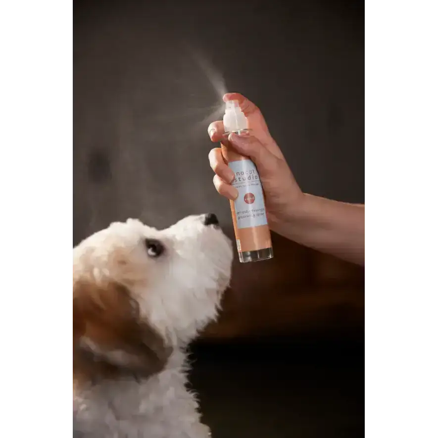 Hundespray refresh+detangle von nocat studio – Verleiht dem Fell Pflege und Glanz.