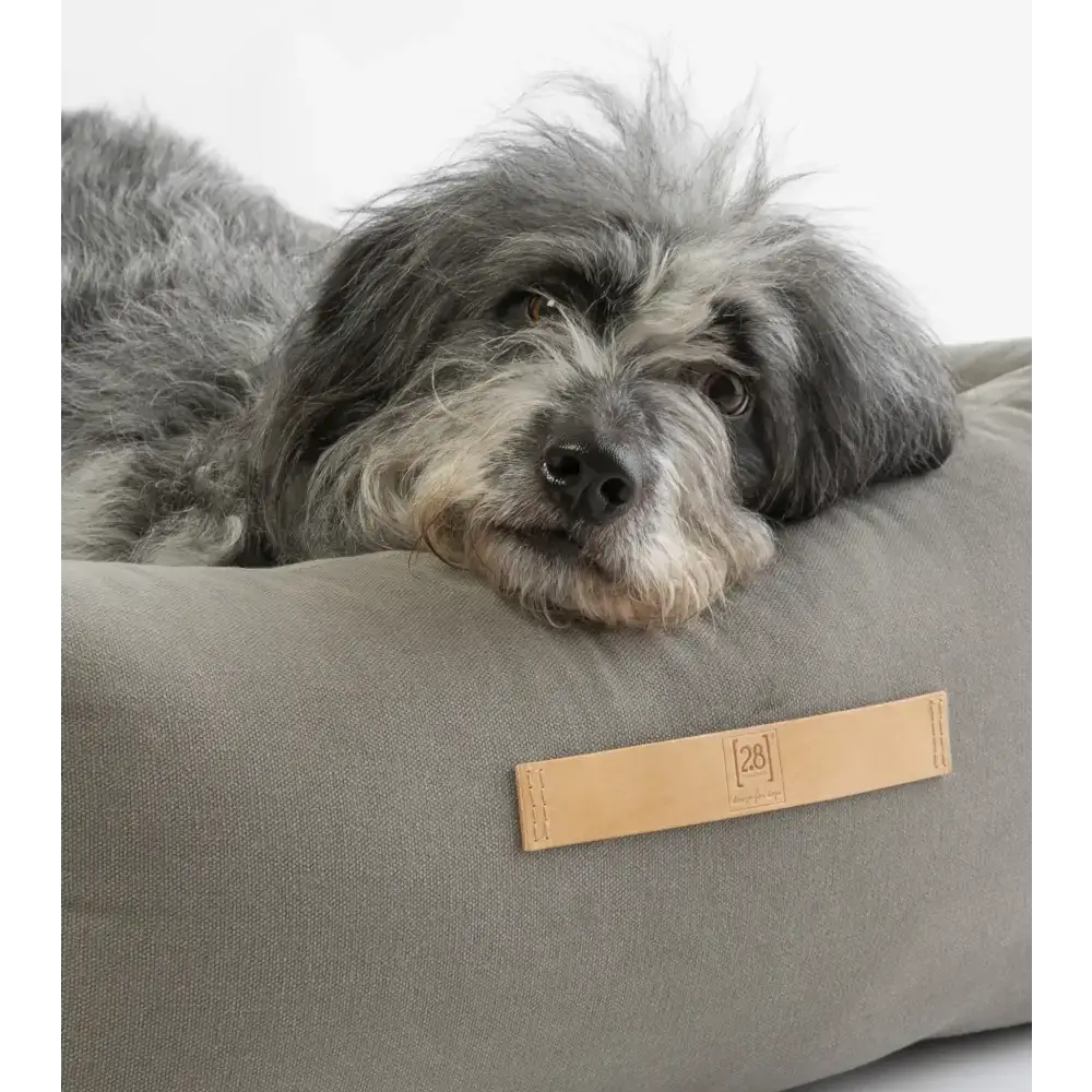 Robustes & rutschfestes Hundebett Henri – hygienisch, pflegeleicht & mit antiparasitärer Füllung für maximalen Komfort.