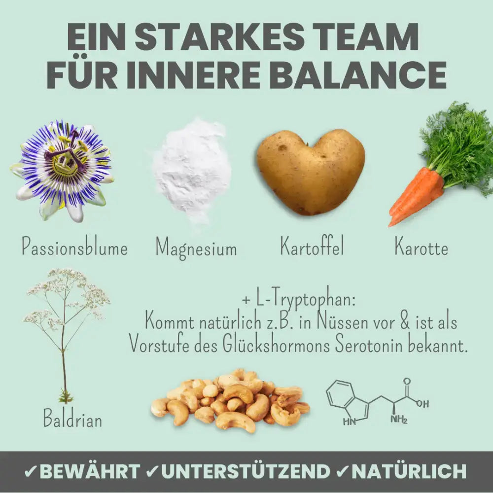 Kräuter-Rezeptur für Hunde mit Stress & Unruhe – Pflanzliche Inhaltsstoffe fördern innere Balance & Gelassenheit.