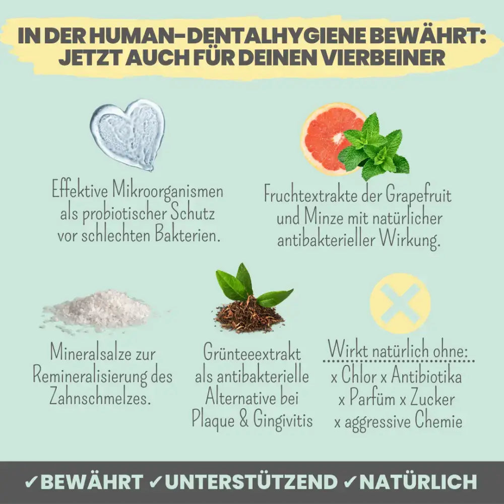 Sanfte Zahnpflege ohne Chemie – Natürlicher Schutz für gesunde Zähne & eine starke Maulflora.