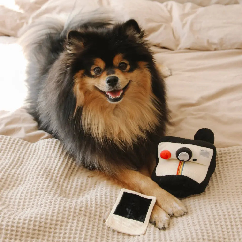 Detailaufnahme des Snuffle-SOFORTKAMERA Hundespielzeugs mit knisterndem Fotopapier und Leckerli-Versteck