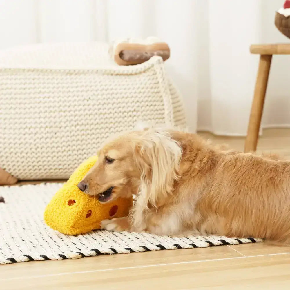 Schnueffelspielzeug fuer Hunde – Perfekt zur geistigen Foerderung und gegen Langeweile