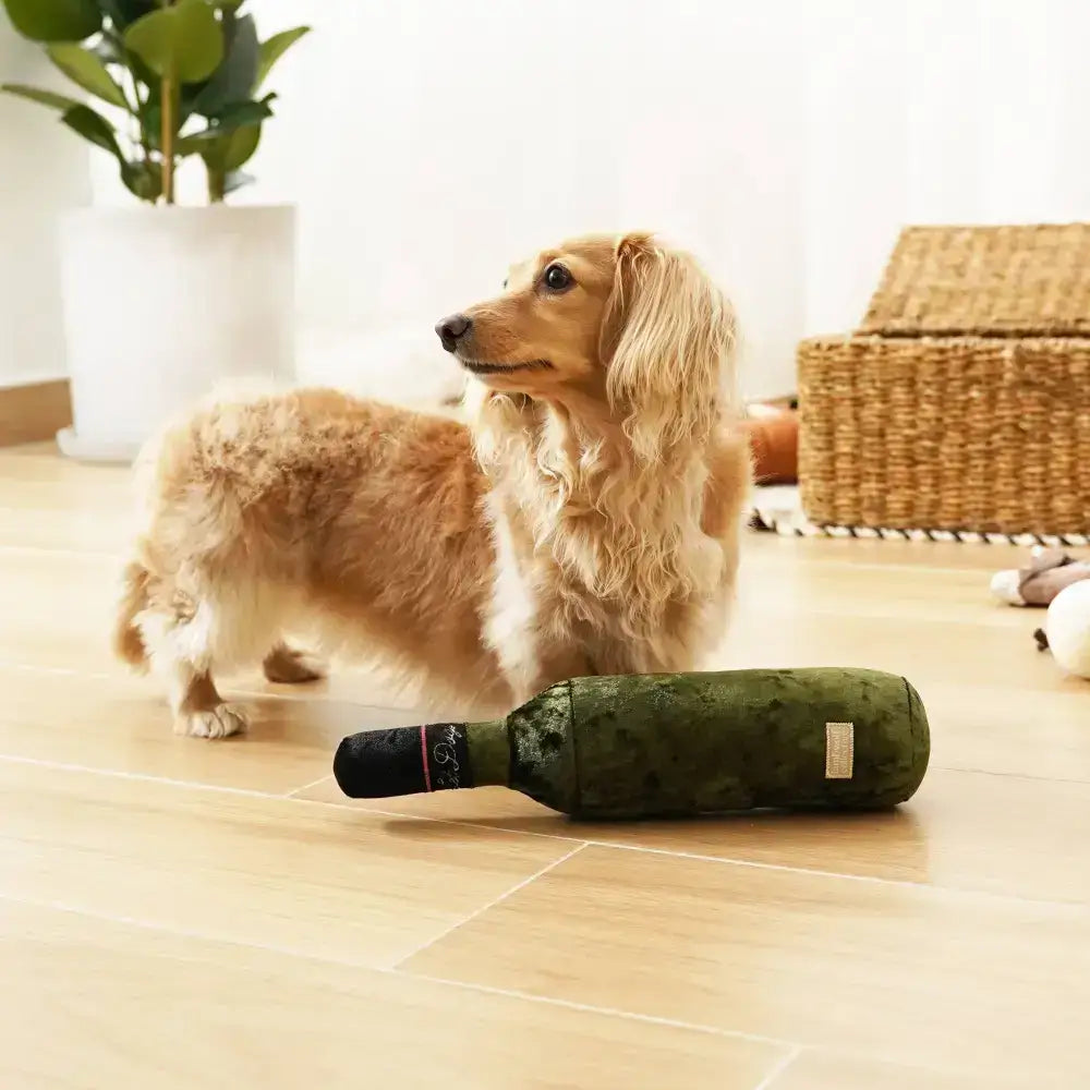 MERLOT von Lambwolf Collective – Interaktives Beschäftigungsspielzeug mit Super-Quietscher.