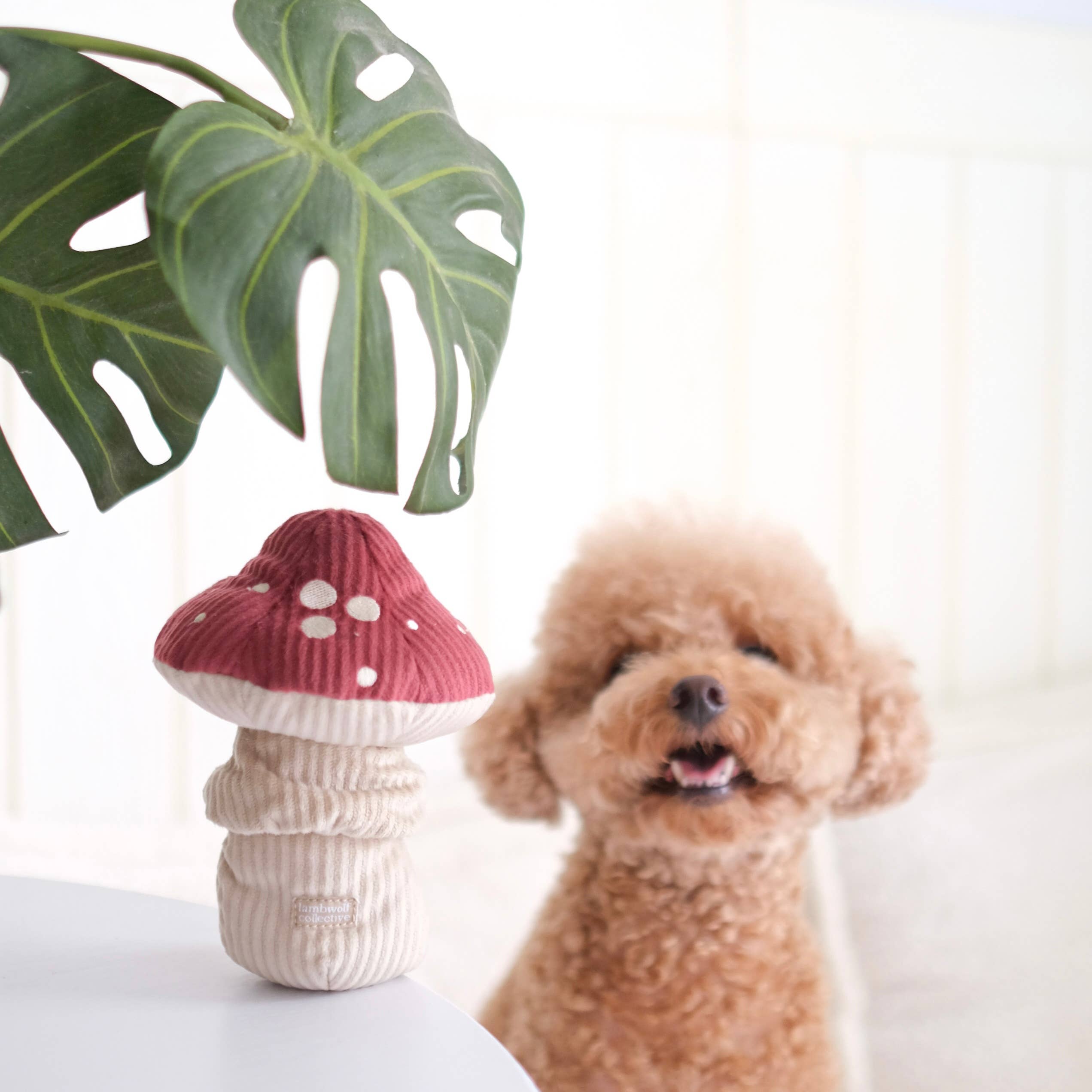 SHROOM Schnüffelpilz von Lambwolf als dekoratives Hundespielzeug neben einer Zimmerpflanze und einem kleinen Hund