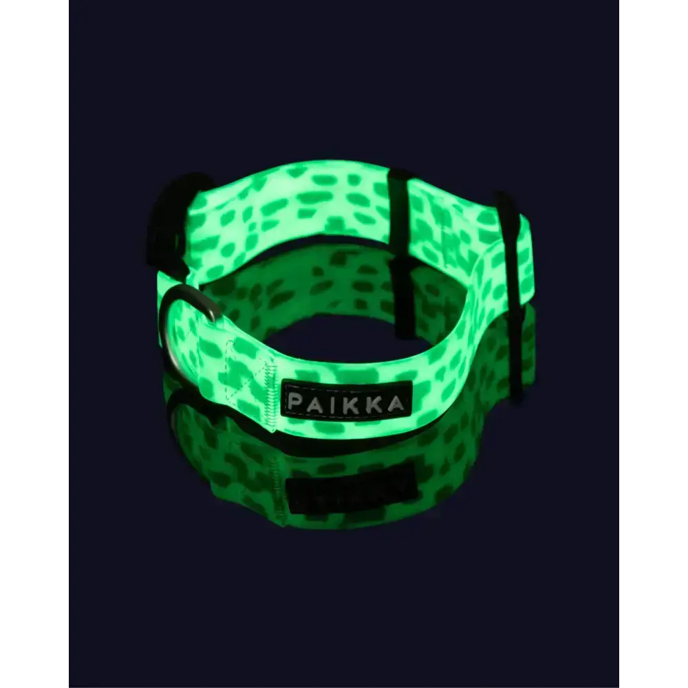 Sicherheits-Hundehalsband mit reflektierendem Material für Abend- und Nachtspaziergänge.