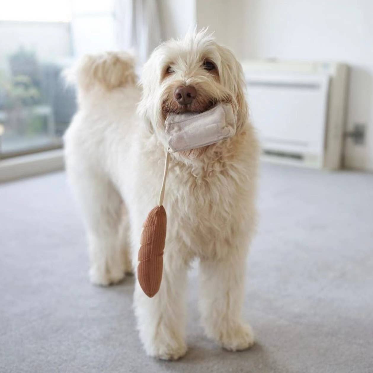 Hund beim Spielen mit dem Snuffle MINI BAGUETTE – voller Entdeckerfreude