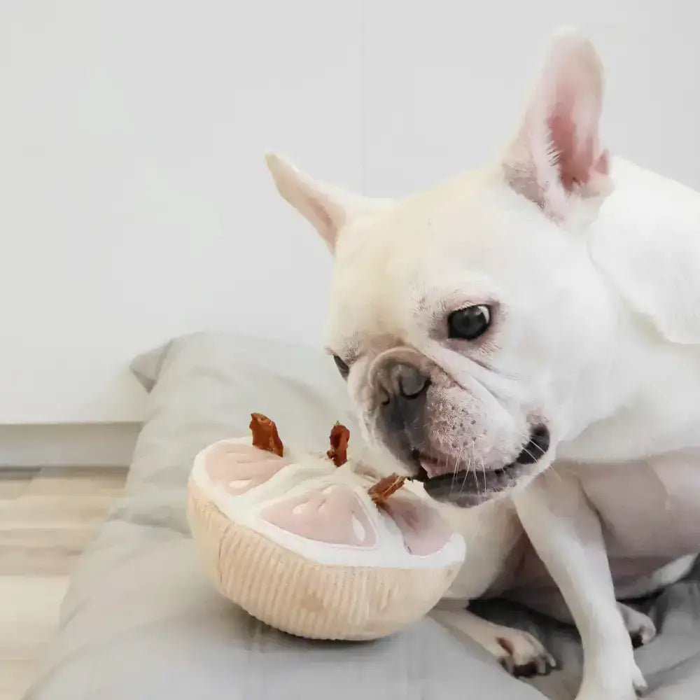 Snuffle-GRAPEFRUIT Hundespielzeug mit 6 Taschen für Leckerlis – Spannendes Spiel für deinen Hund