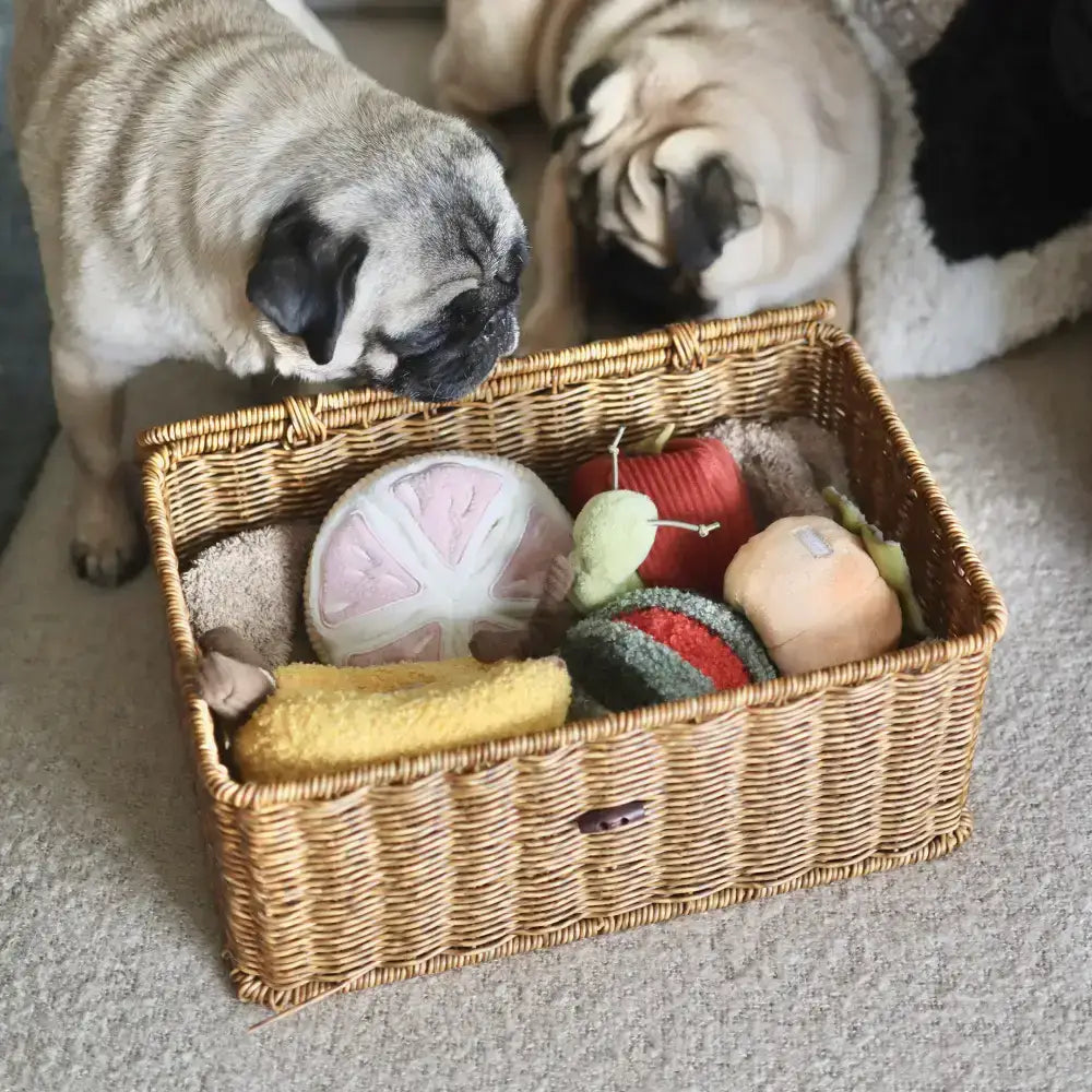 Lambwolf Collective Snuffle-GRAPEFRUIT Hundespielzeug – Ideal für die Nasenarbeit und Belohnung durch Leckerlis