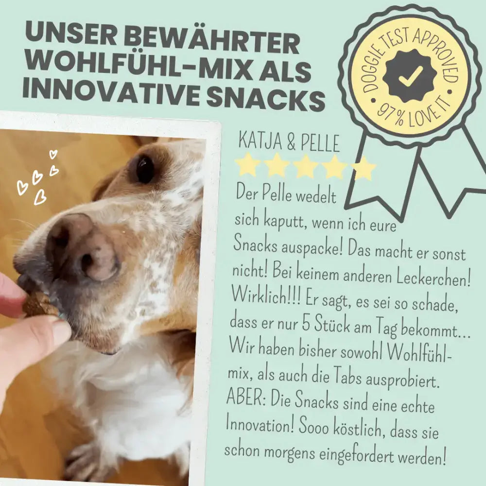 Soft-Snacks zur Beruhigung für Hunde – Leckere, gut verträgliche Nervensnacks für den täglichen Einsatz.