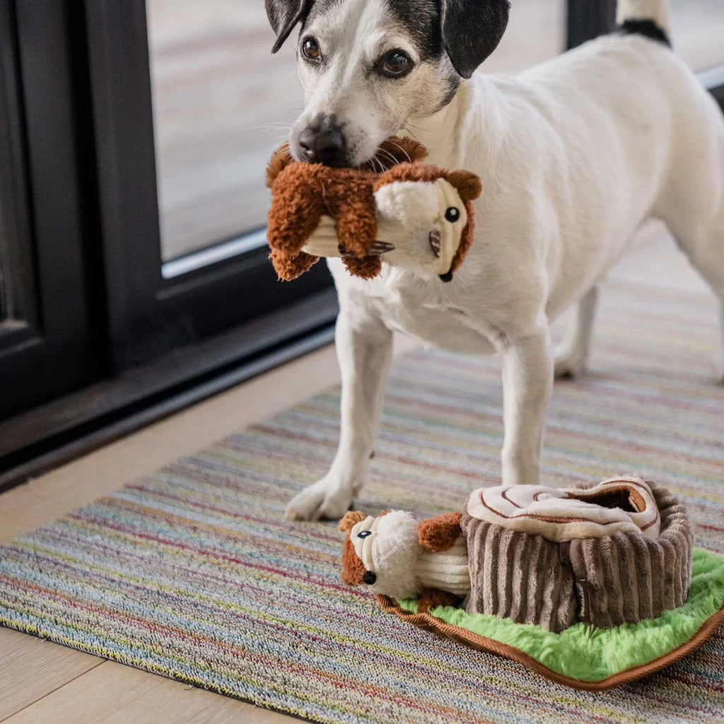 Hund spielt begeistert mit Chippy & Cheeks Spielzeug von P.L.A.Y.
