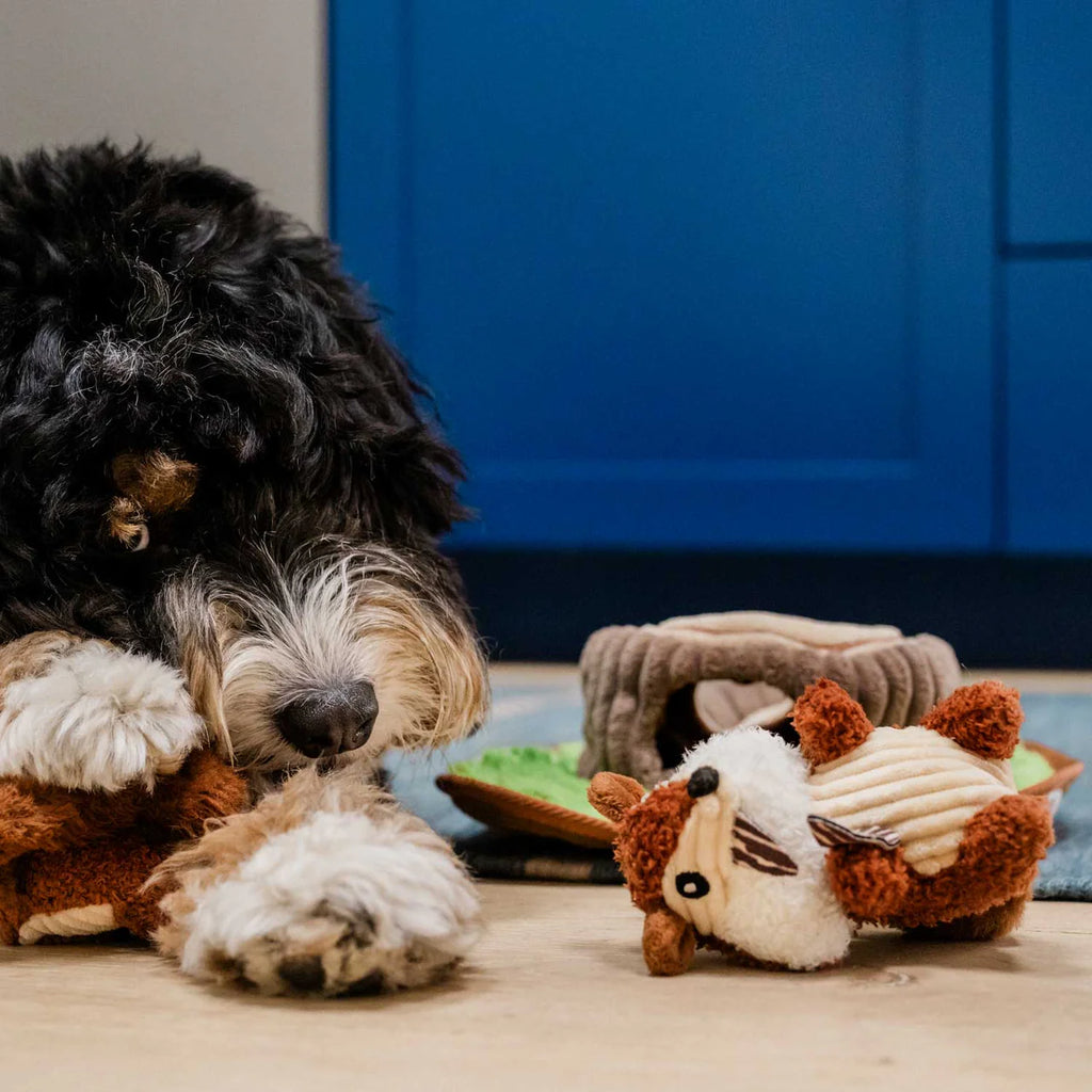 Streifenhörnchen-Spielzeug im Einsatz – aktiver Hund mit Spielzeug im Maul