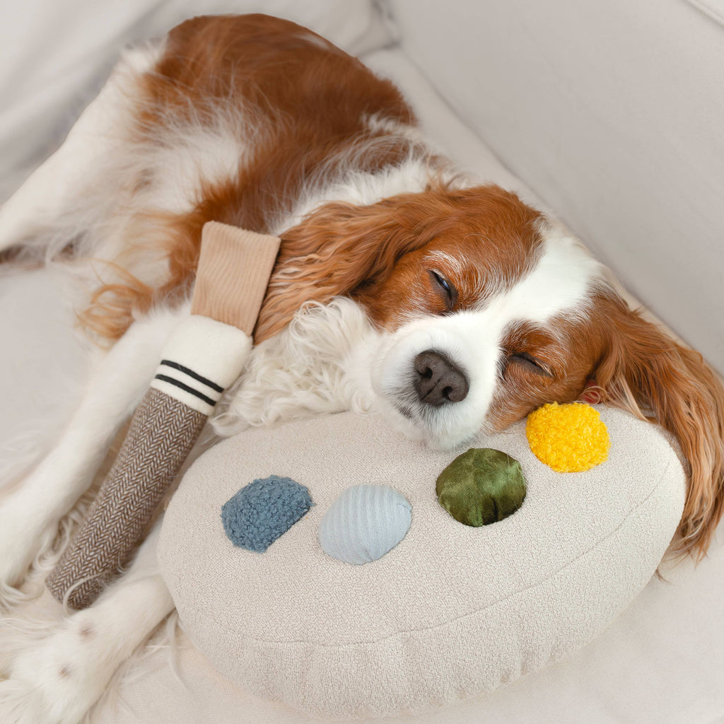 Farbpaletten-Spielzeug mit bunten Kugeln – modernes Hundedesign von Lambwolf