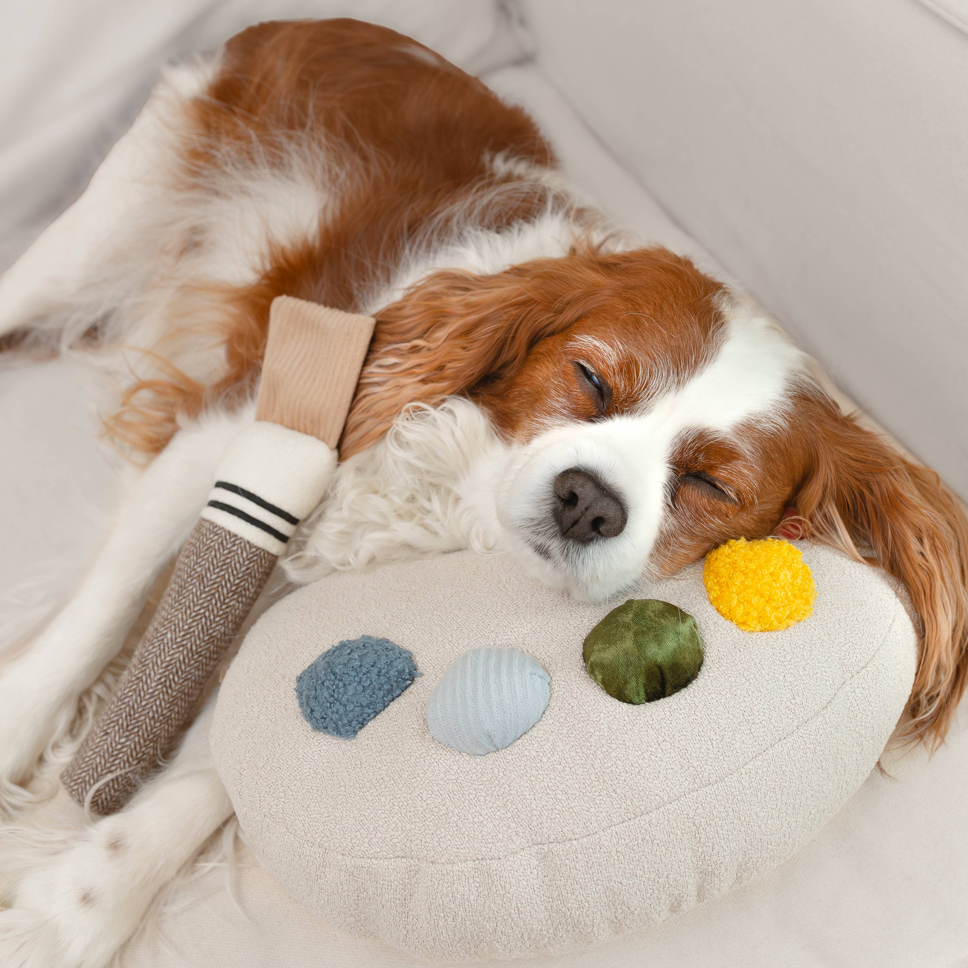 Farbpaletten-Spielzeug mit bunten Kugeln – modernes Hundedesign von Lambwolf