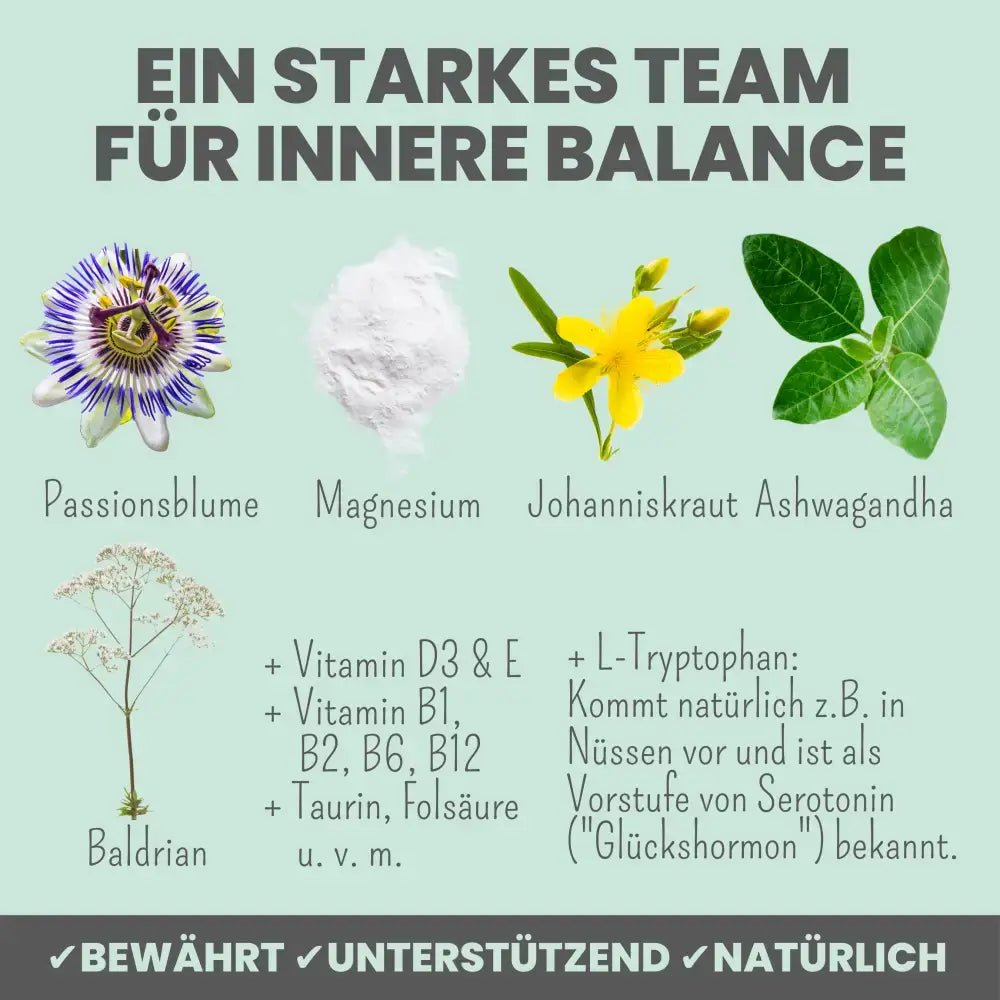 Stressfrei mit Baldrian, Johanniskraut & Passionsblume – Natürliche Pflanzenextrakte für entspannte Hunde & Katzen.