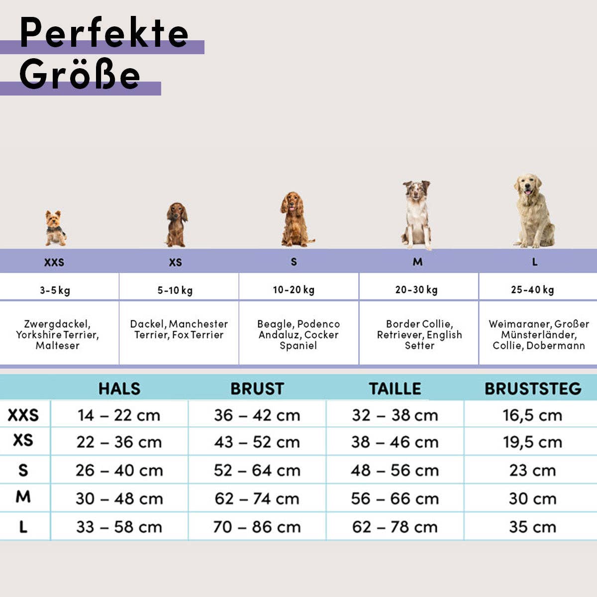 Größentabelle für das STUCH Hundegeschirr in Beige – Maße für Hals-, Brust- und Taillenumfang