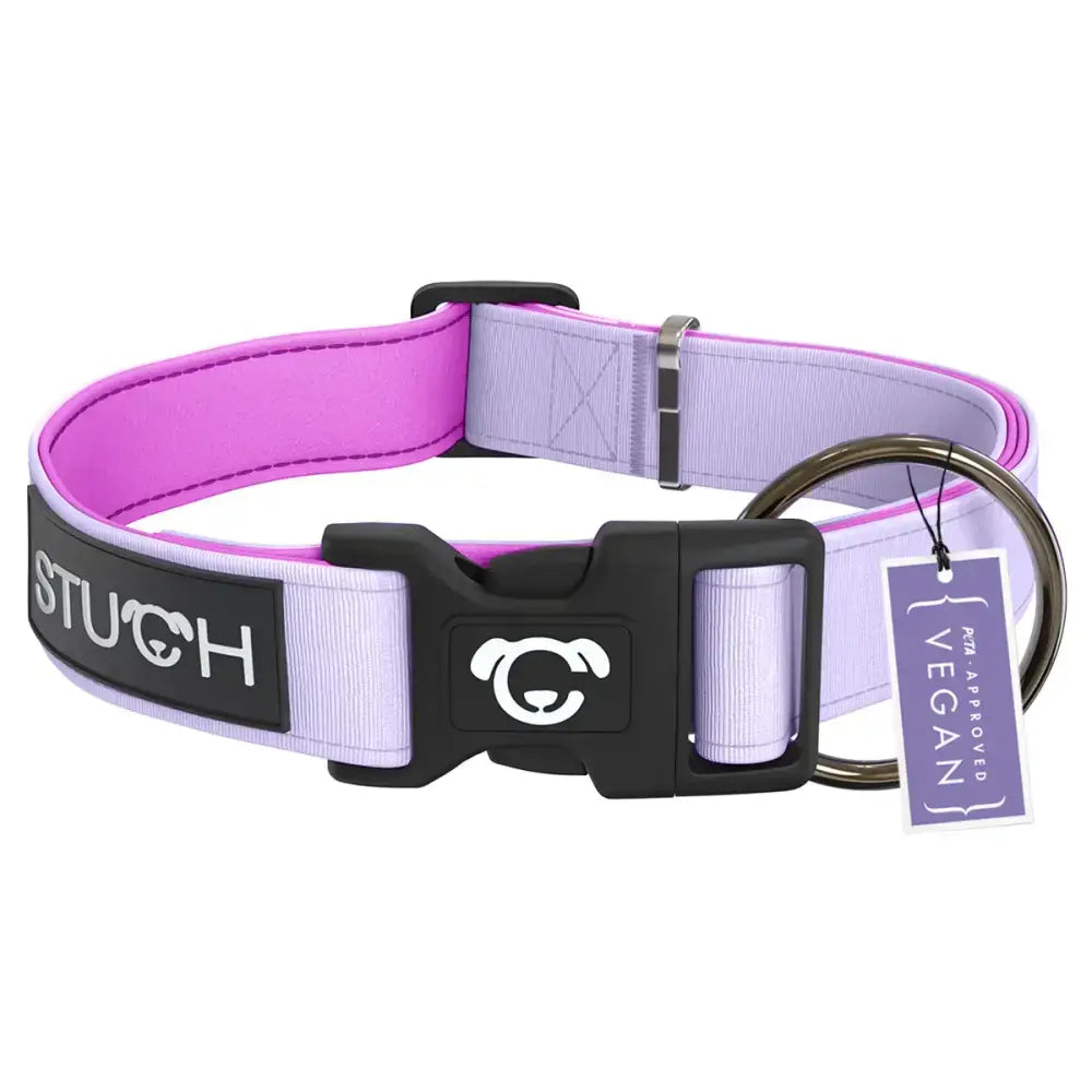 Nahaufnahme des STUCH Hundehalsbands in Flieder – gepolstertes, strapazierfähiges Nylon mit hochwertigen Metallverschlüssen für maximalen Komfort und Sicherheit.