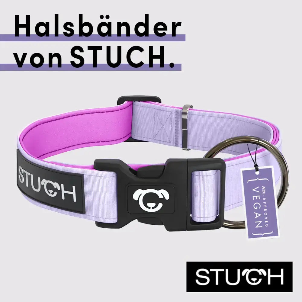 STUCH Hundehalsband in Flieder – wasserabweisendes, langlebiges Material mit stufenloser Größenverstellung für einen sicheren und bequemen Sitz.