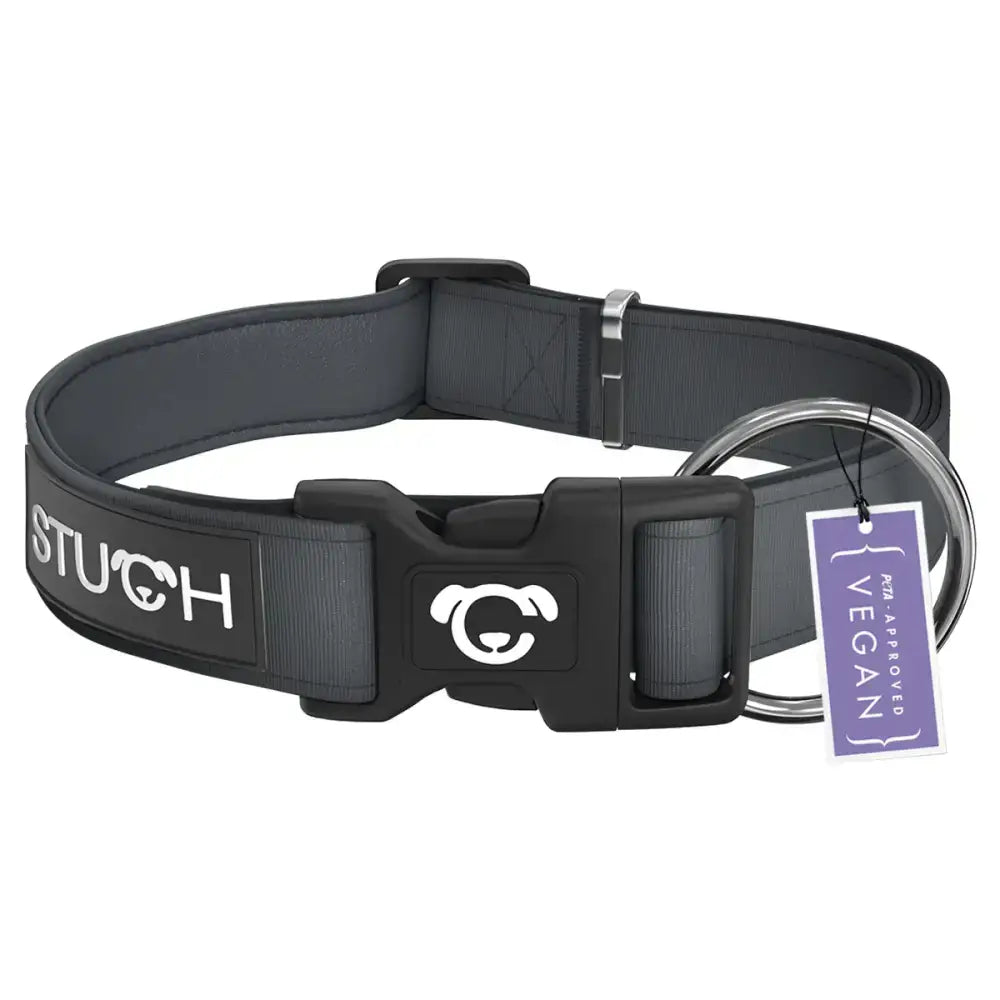 Nahaufnahme des STUCH Hundehalsbands in Grau – weiche Polsterung, strapazierfähiges Nylon und hochwertige Metallkomponenten für maximalen Komfort.