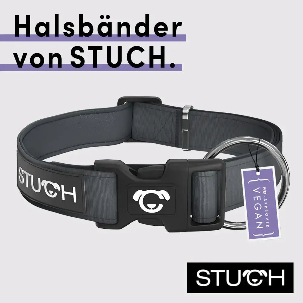 STUCH Hundehalsband in Grau – wasserdichtes, langlebiges Material mit stufenloser Verstellmöglichkeit für einen sicheren und bequemen Sitz.