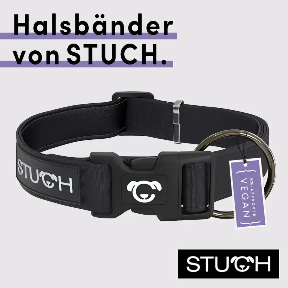 STUCH Hundehalsband in Schwarz – strapazierfähiges, wasserabweisendes Material mit stufenloser Größenverstellung für einen sicheren und bequemen Sitz.