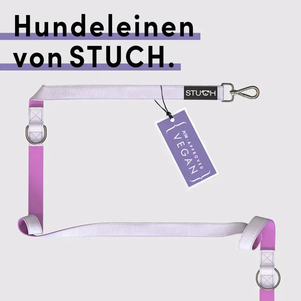 Hochwertige STUCH Premium Hundeleine in Flieder – langlebiges Nylongewebe mit gepolsterter Rückseite für maximalen Komfort.