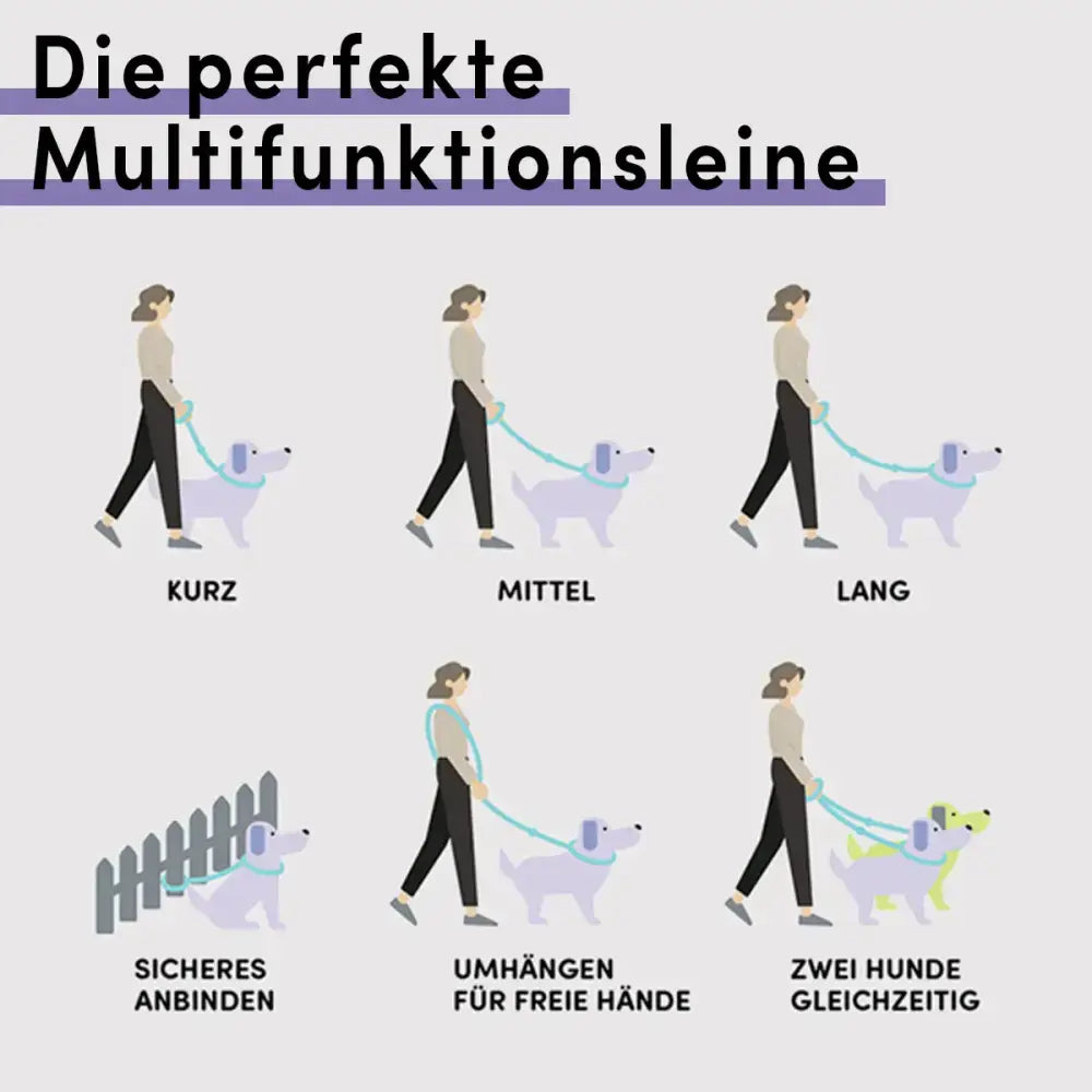 STUCH Premium Hundeleine in Grau mit sieben Tragemöglichkeiten – verstellbare Länge für kurze oder lange Spaziergänge, auch für zwei Hunde nutzbar.