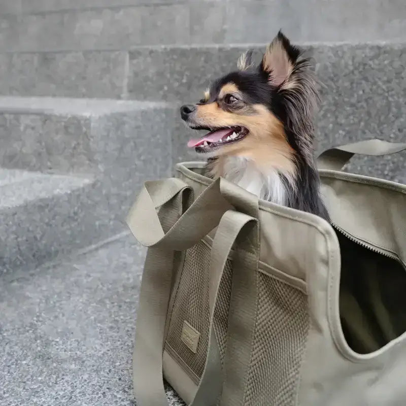 Hochwertige Hundetasche aus wasserabweisendem Leinenmaterial – Langlebig & pflegeleicht