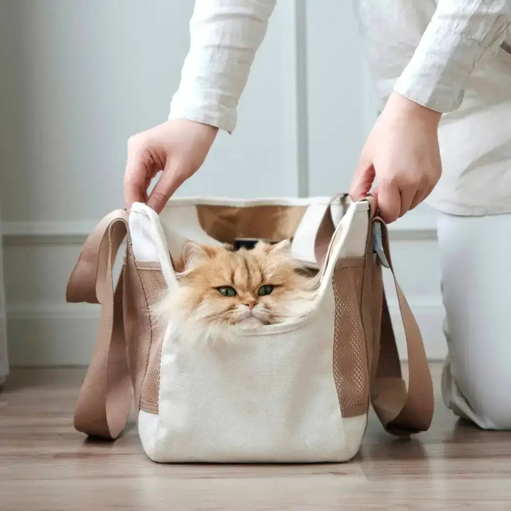 Minimalistisches & modernes Design – Subway Hundetasche als stylischer Begleiter