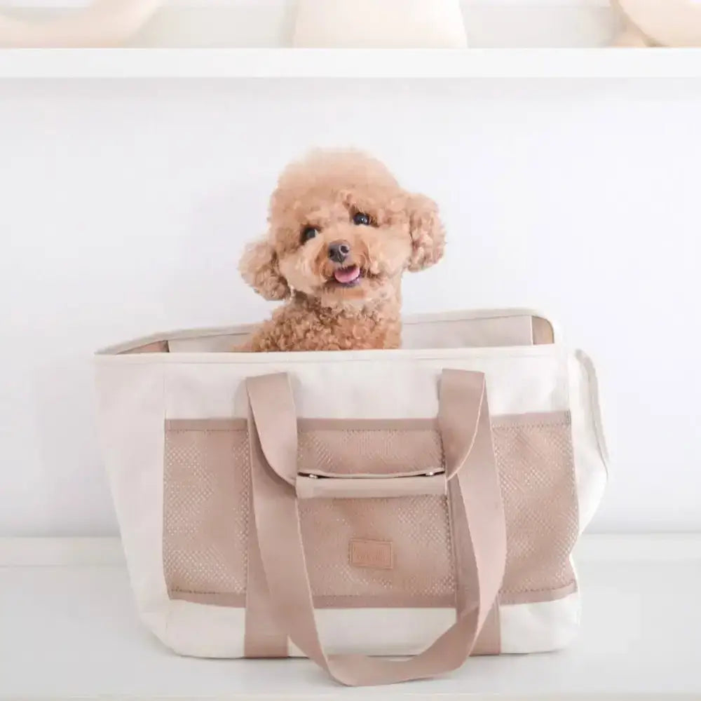 Lambwolf Collective Subway Hundetasche – Herausnehmbare, rutschfeste Einlage für Stabilität