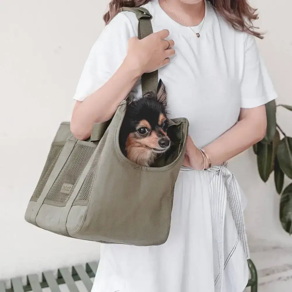 Hundetasche mit verstellbarem Sicherheitsgurt – Ideal für kleine Hunde & Welpen